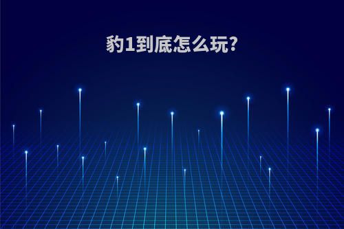 豹1到底怎么玩?