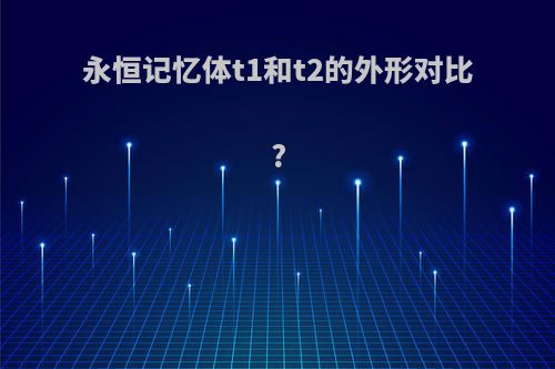 永恒记忆体t1和t2的外形对比?