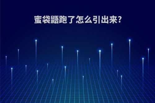 蜜袋鼯跑了怎么引出来?