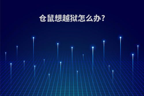 仓鼠想越狱怎么办?