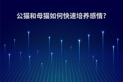 公猫和母猫如何快速培养感情?