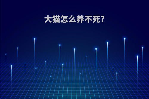 大猫怎么养不死?
