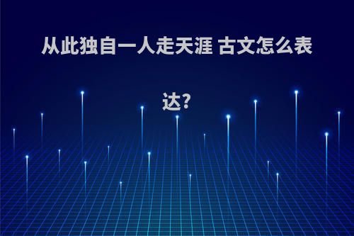 从此独自一人走天涯 古文怎么表达?