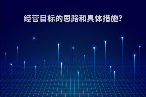 经营目标的思路和具体措施?