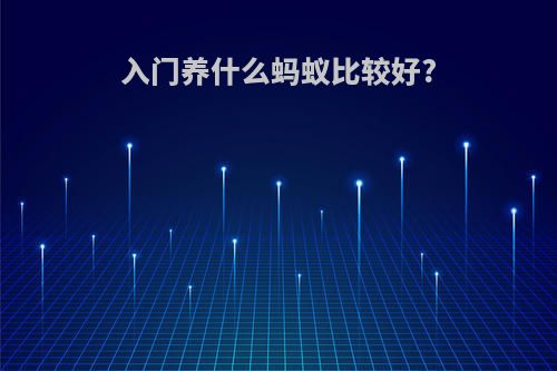 入门养什么蚂蚁比较好?