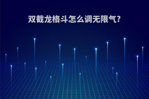 双截龙格斗怎么调无限气?