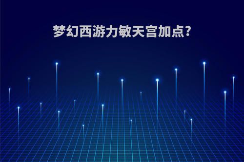 梦幻西游力敏天宫加点?