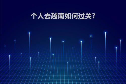 个人去越南如何过关?