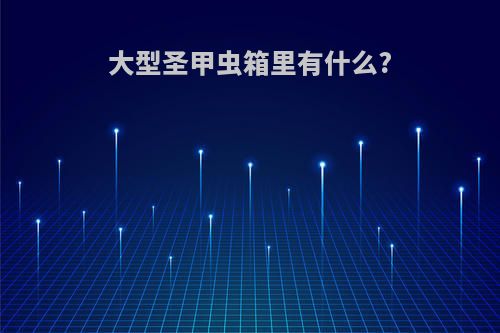 大型圣甲虫箱里有什么?
