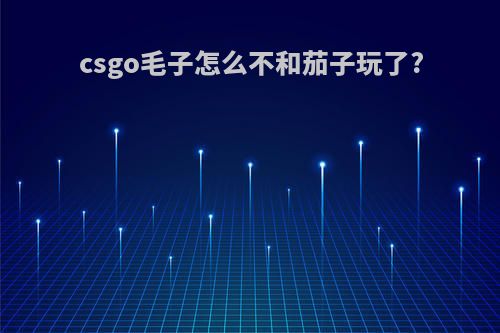 csgo毛子怎么不和茄子玩了?