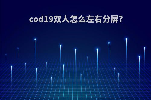 cod19双人怎么左右分屏?