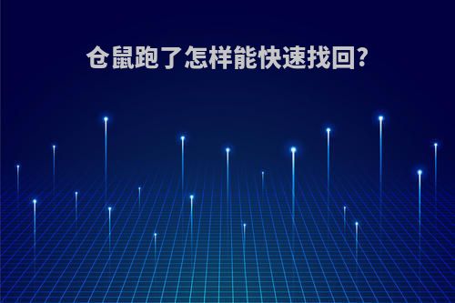 仓鼠跑了怎样能快速找回?